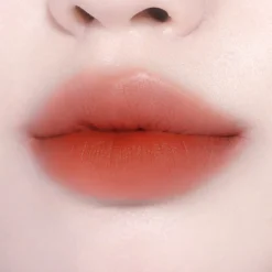 [BBIA] Last Velvet Tint