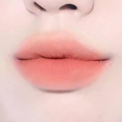 [BBIA] Last Velvet Tint