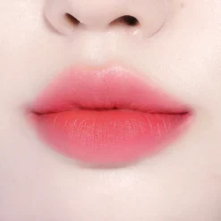 [BBIA] Last Velvet Tint