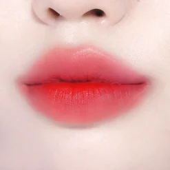 [BBIA] Last Velvet Tint