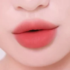 [colorgram] Nude Blur Tint