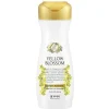 [Daeng Gi Meo Ri] Yellow Blossom Hair Loss Care Treatment