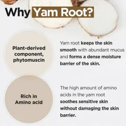[Isntree] Yam Root Vegan Milk Cleanser