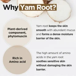 [Isntree] Yam Root Vegan Milk Cream