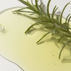 [Kaine] Rosemary AHA Night Serum