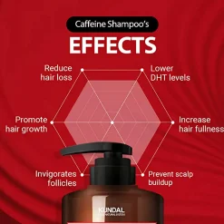 [Kundal] Natural Caffeine Shampoo