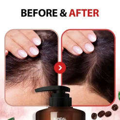 [Kundal] Natural Caffeine Shampoo