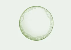 [Ma:nyo Factory] Herbgreen Cleansing Oil (EXP. 10.3.2026)