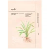 [Ondo Beauty 36.5] Adenosine & Zhi Mu Lifting Mask TANG-TANG