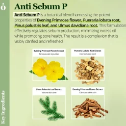 [Ongredients] AC Balancing Serum