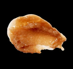 [Skinfood] Honey Sugar Food Mask