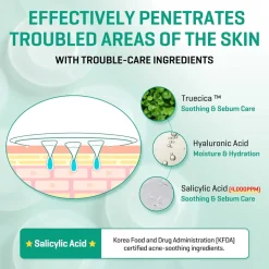 [Some By Mi] Micro Pin Spot Patch (9ea)