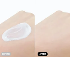 [TFIT] Airy Sun Fluid